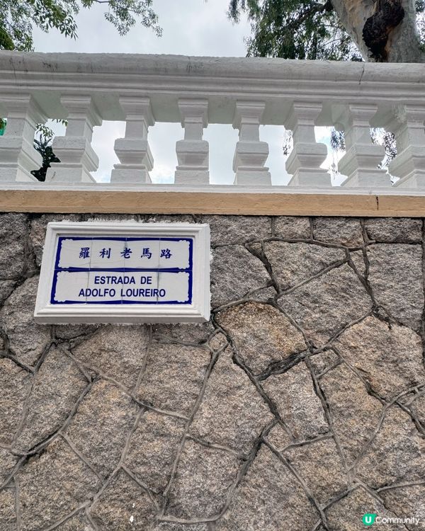 盧園一隅 尋幽探勝 🚶‍♀️🌳