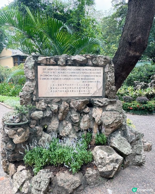 盧園一隅 尋幽探勝 🚶‍♀️🌳