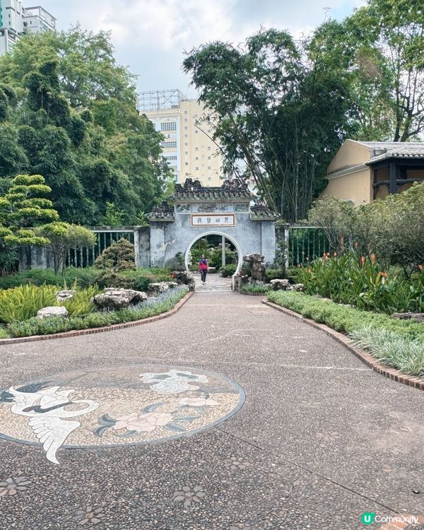 盧園一隅 尋幽探勝 🚶‍♀️🌳