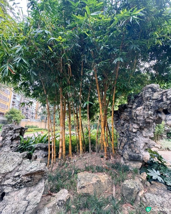盧園一隅 尋幽探勝 🚶‍♀️🌳