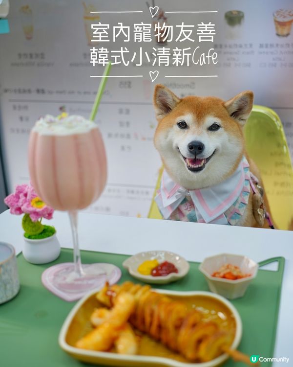 🍰室內寵物友善·韓式小清新cafe☕️