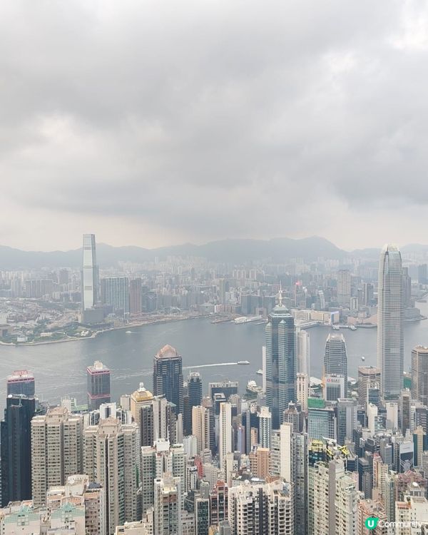 山頂景色