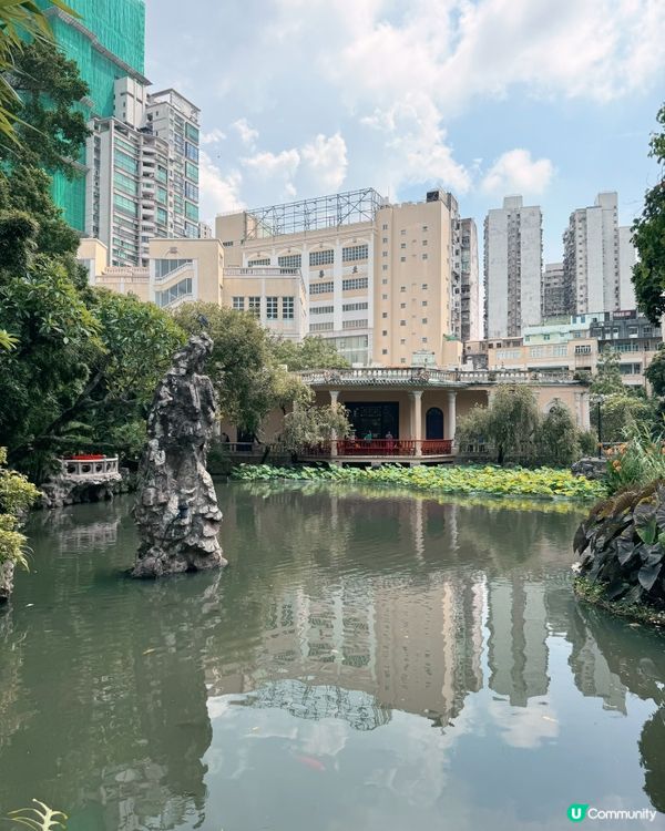 盧廉若尋幽，古園春草堂🌸