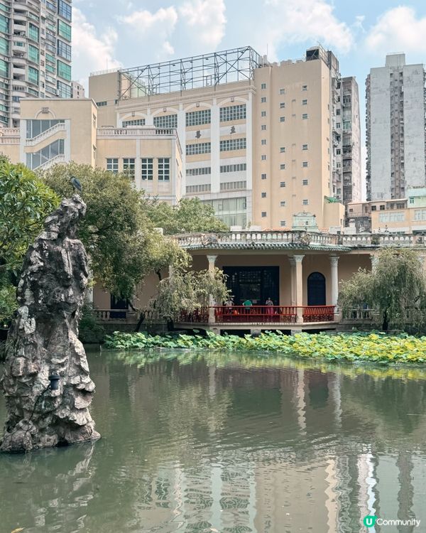 盧廉若尋幽，古園春草堂🌸
