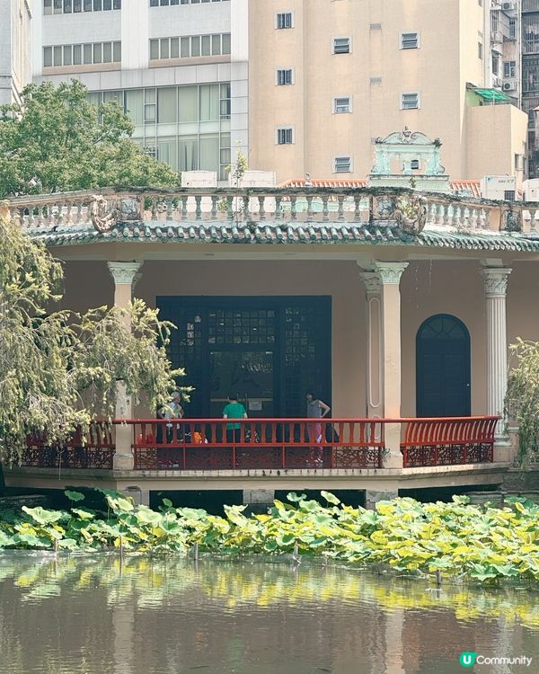 盧廉若尋幽，古園春草堂🌸