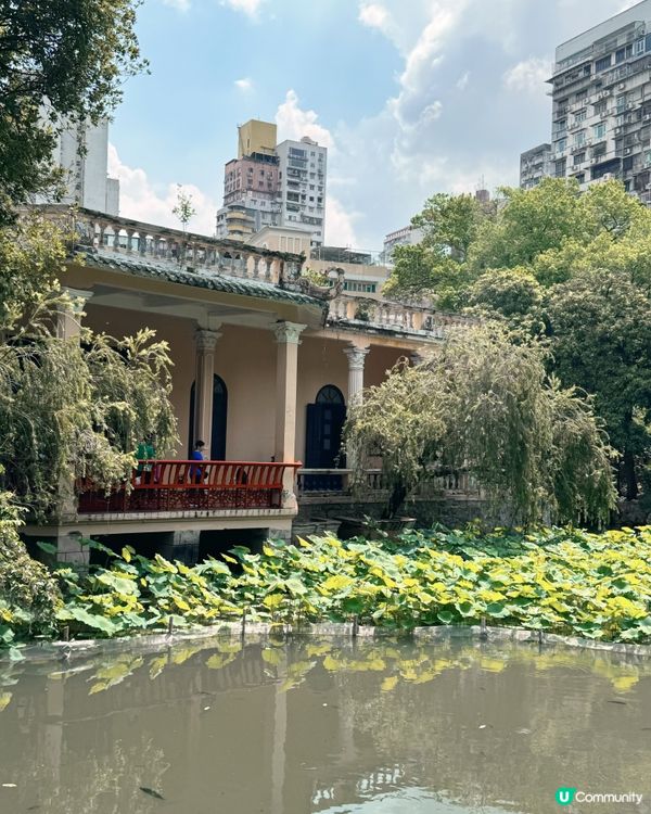 盧廉若尋幽，古園春草堂🌸