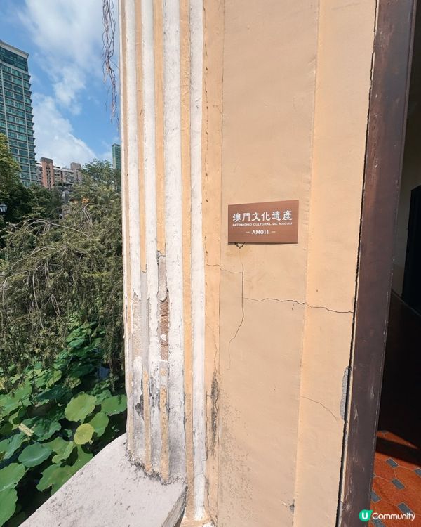 盧廉若尋幽，古園春草堂🌸