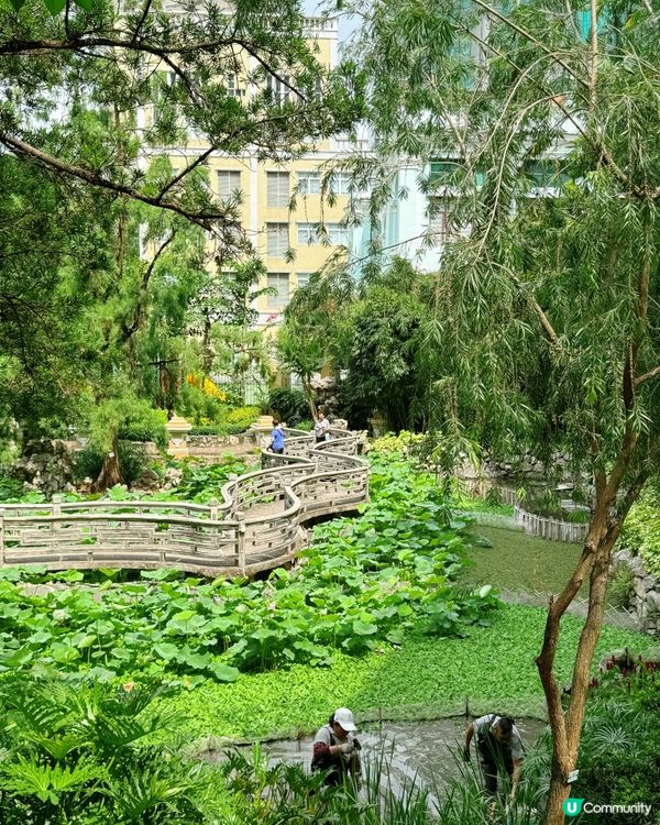 澳門盧廉若公園：一日蘇州園林風 🌸🌳