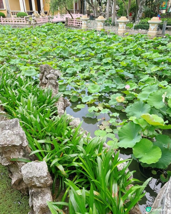 澳門盧廉若公園：一日蘇州園林風 🌸🌳