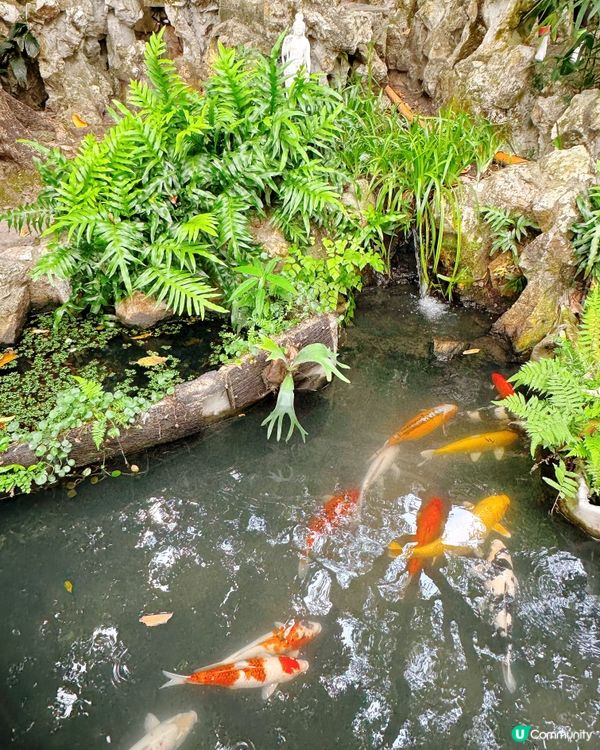 盧廉若園．蘇州園林小縮景 🏞️
