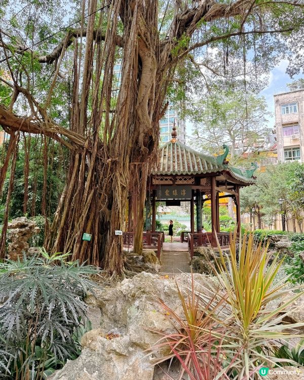 盧廉若園．蘇州園林小縮景 🏞️