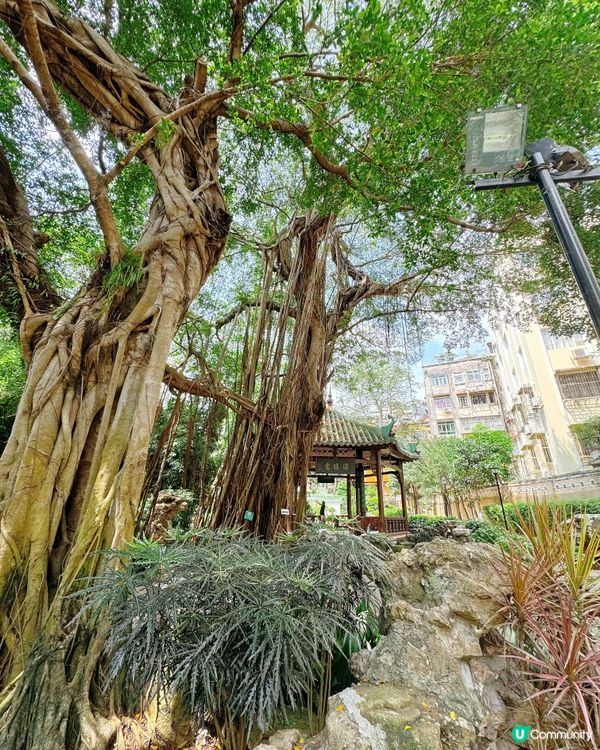 盧廉若園．蘇州園林小縮景 🏞️