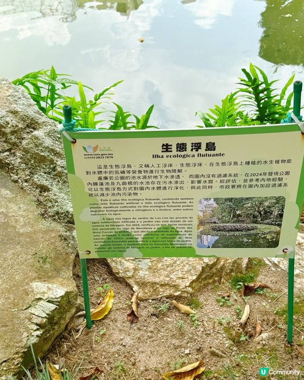 盧廉若園．蘇州園林小縮景 🏞️