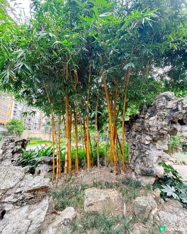 盧廉若園．蘇州園林小縮景 🏞️