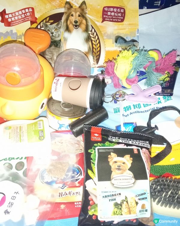 HK Premium Pet Expo