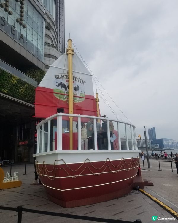 黑白85週年之旅  港式奶茶