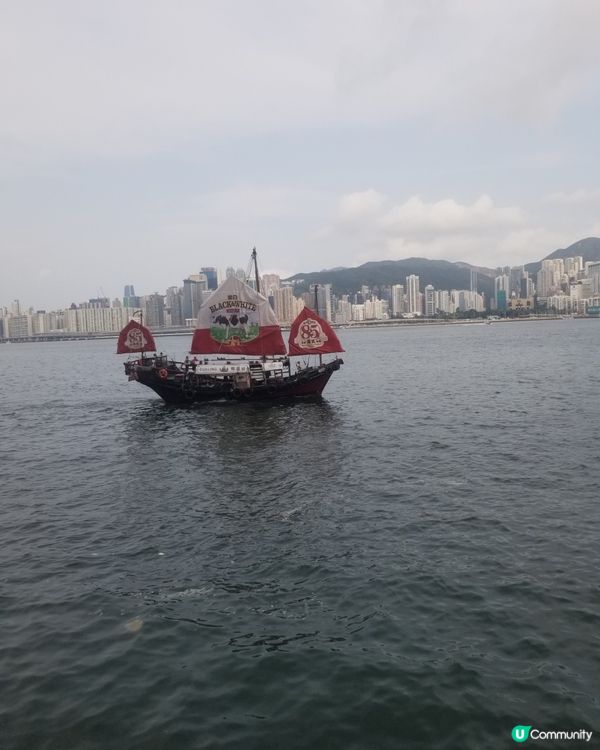 黑白85週年之旅  港式奶茶
