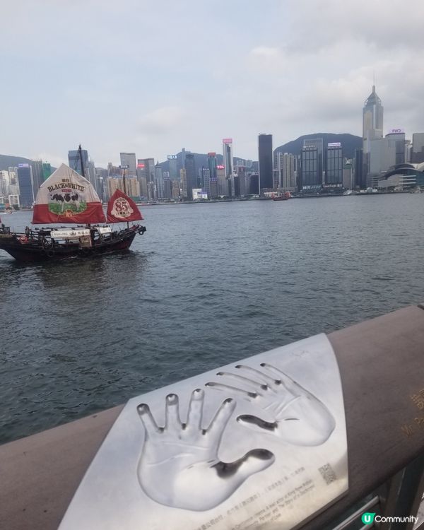 黑白85週年之旅  港式奶茶