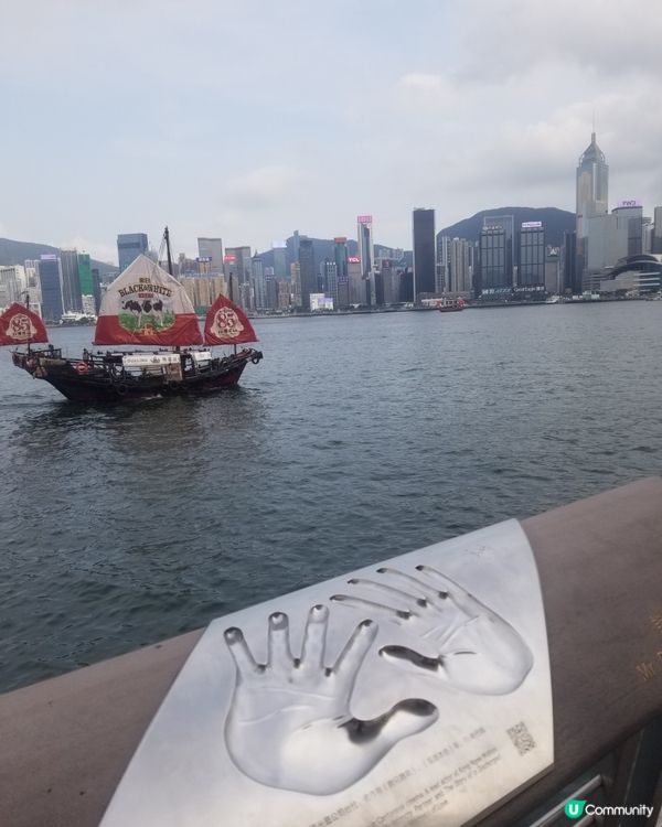 黑白85週年之旅  港式奶茶