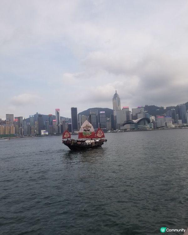 黑白85週年之旅  港式奶茶