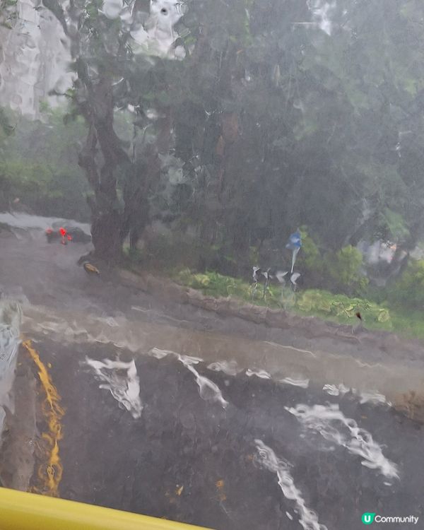 莫奈版雨景