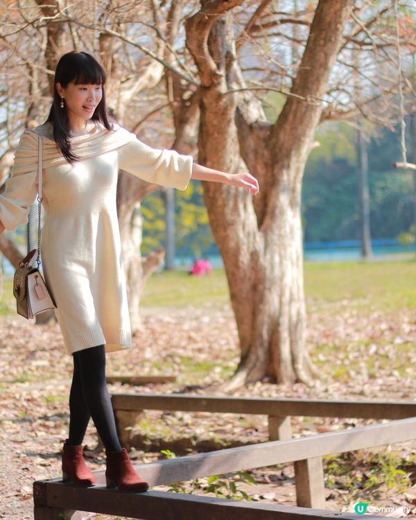 別錯過澄清湖秋色🍂 😭