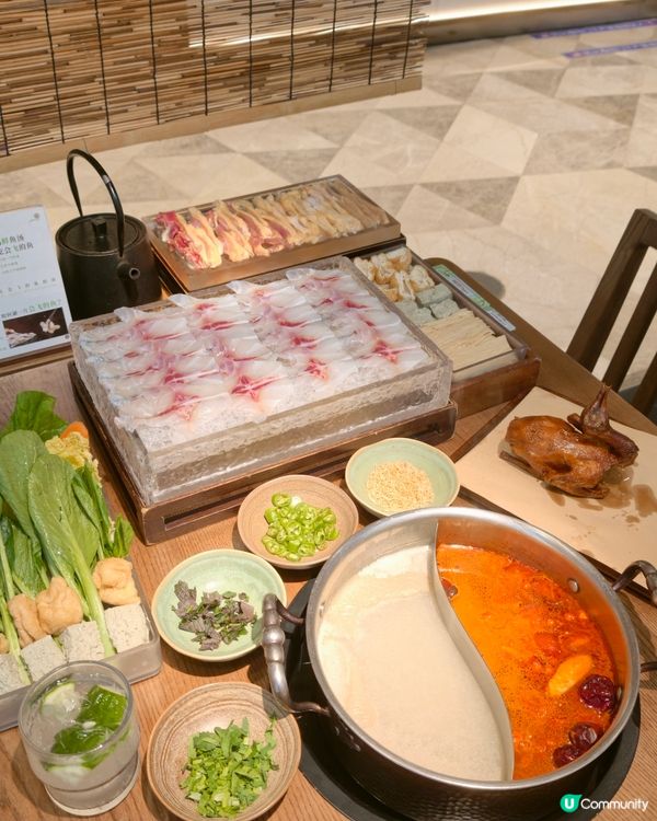 一條會飛嘅魚