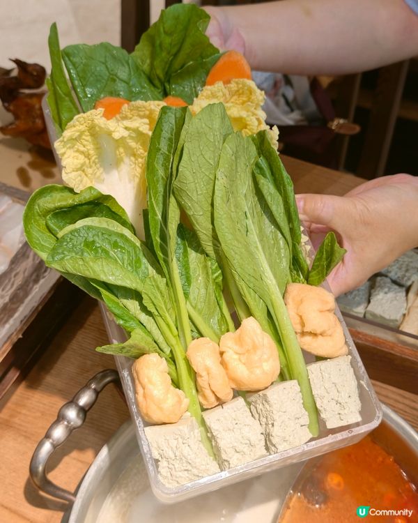 一條會飛嘅魚