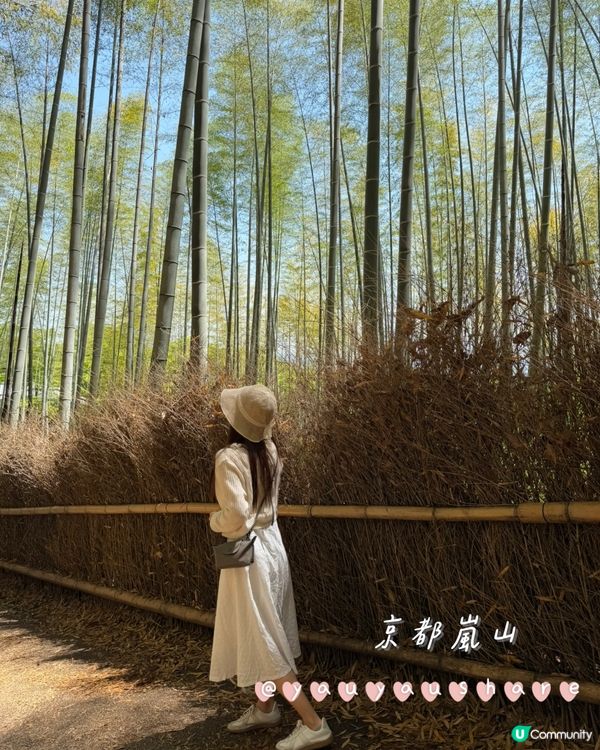 【京都慢旅行】嵐山小火車 ✕ 經典一日遊攻略 🚂✨