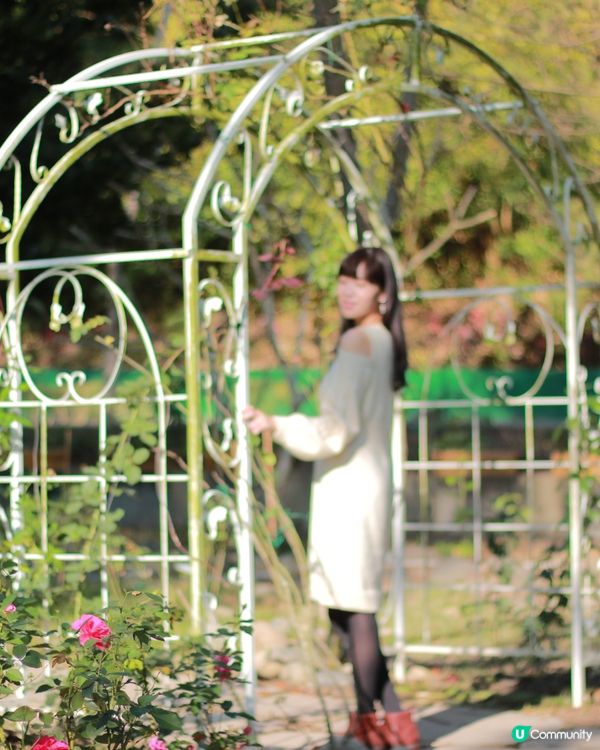 澄清湖幸福花園💐🤩！