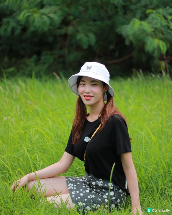 高美館生態園！🌳🌬️🐶