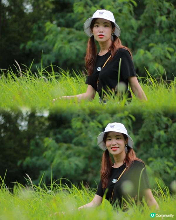 高美館生態園！🌳🌬️🐶