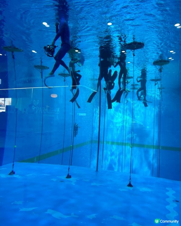 自由潛Freediving🤿