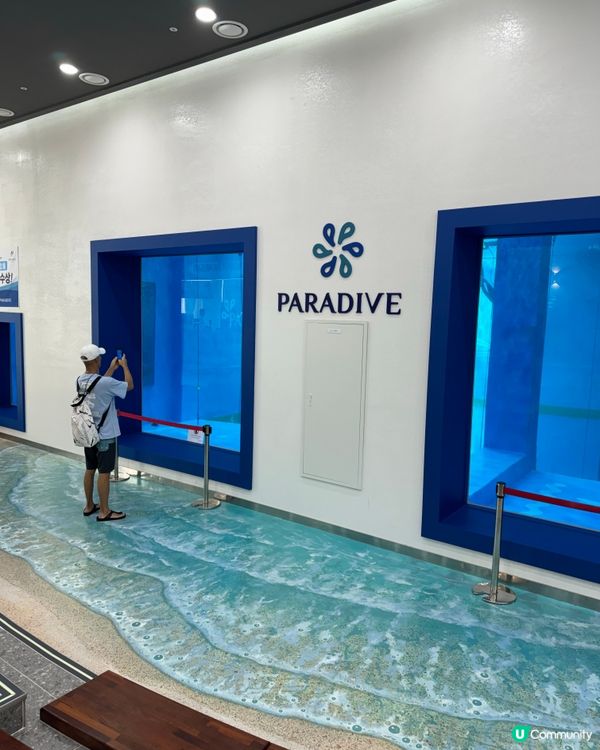 自由潛Freediving🤿