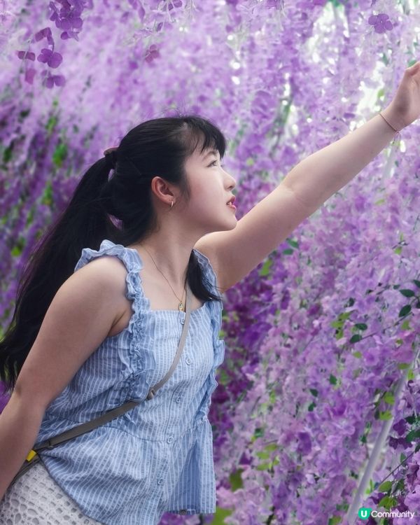 🇭🇰90後｜信芯園｜🌻🌻🌻