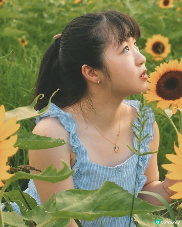 🇭🇰90後｜信芯園｜🌻🌻🌻