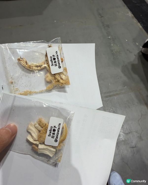 寵物展掃貨攻略！🐶🦖🦟