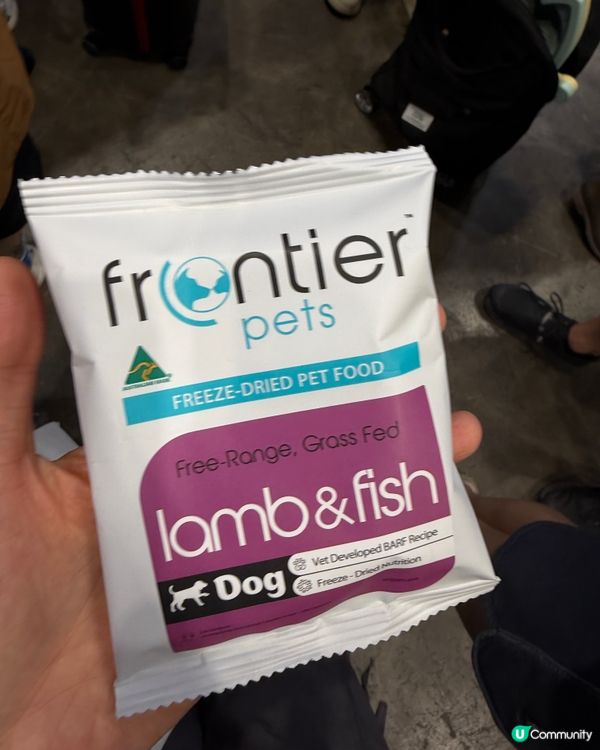 寵物展掃貨攻略！🐶🦖🦟