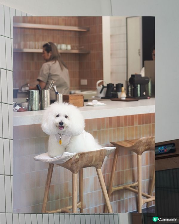 西環新開drink bar 🍵❄️