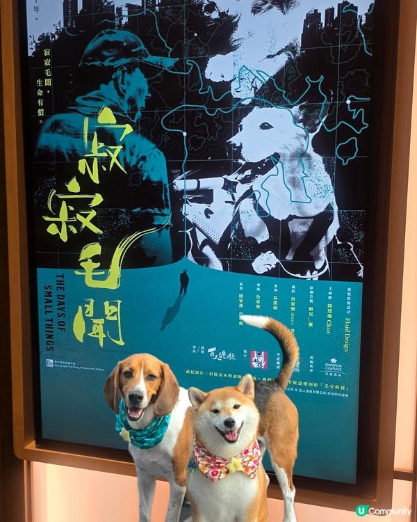 感謝邀請, 可以欣賞本地紀錄片《寂寂毛聞》🎬。