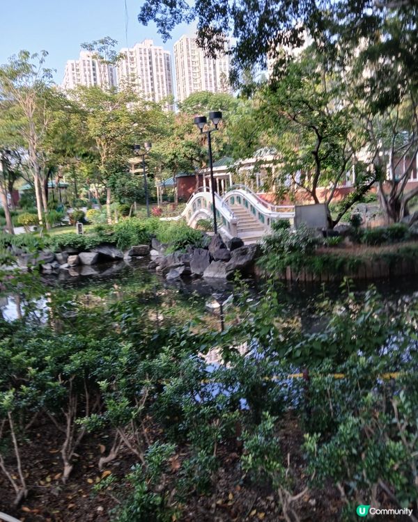 週末溜娃提案：蝴蝶灣全日玩🥳 泳灘燒烤一應俱全🏖️