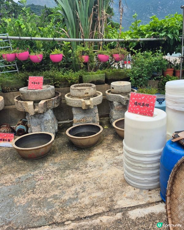  Kabu x 勝利香蝦廠 - 大澳非遺體驗