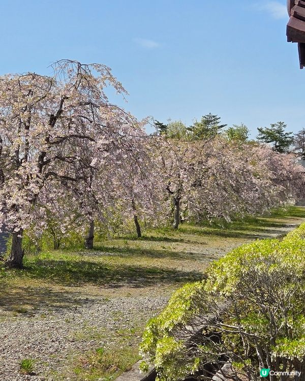 日新館
