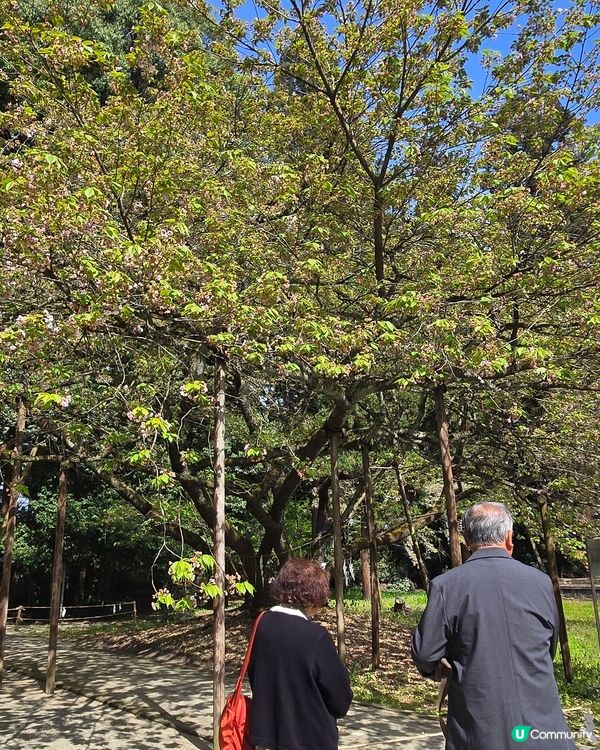 伊佐須美神社