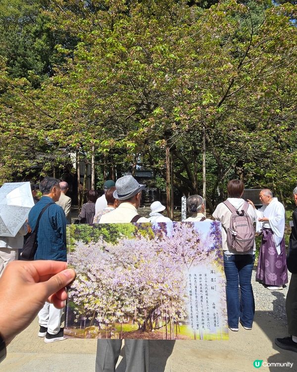 伊佐須美神社