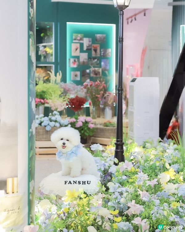 法國花園式避暑勝地！🐶🌸✨