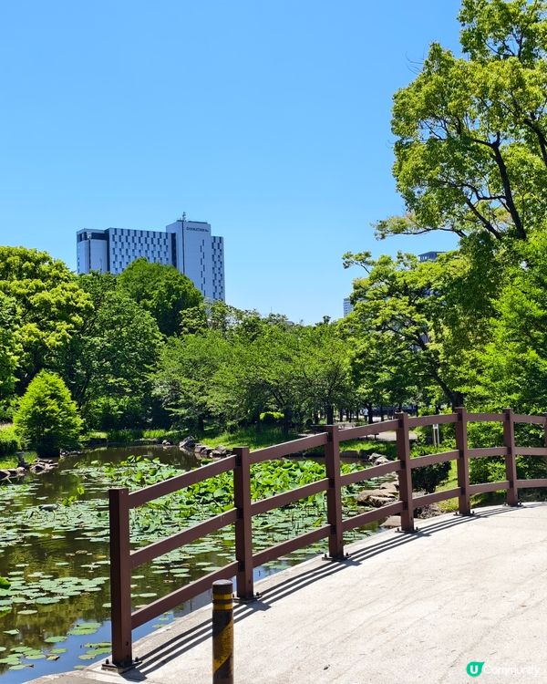 用自由鳥快閃大阪🇯🇵開心輕鬆旅行 ✈️