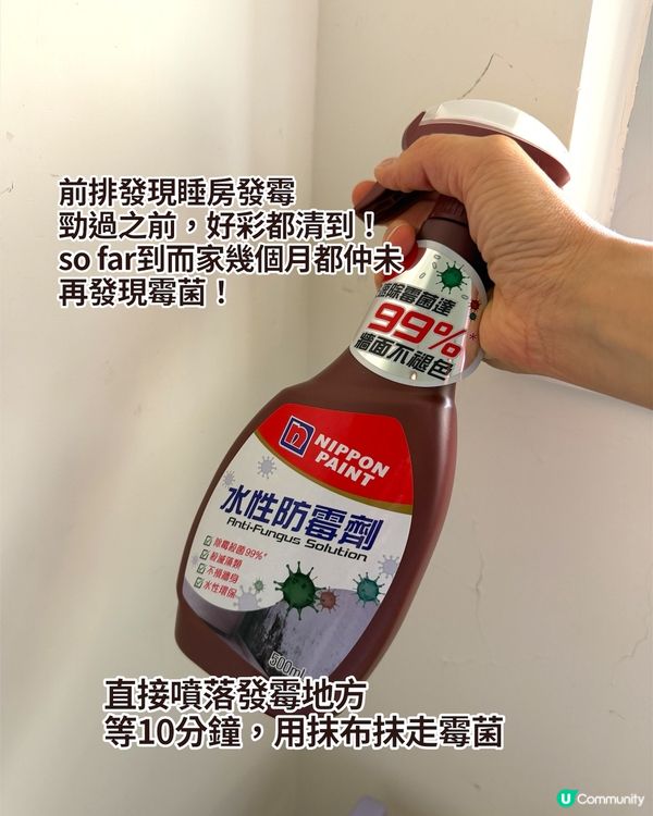 立邦DIY家居防霉產品🏠香港潮濕天必備