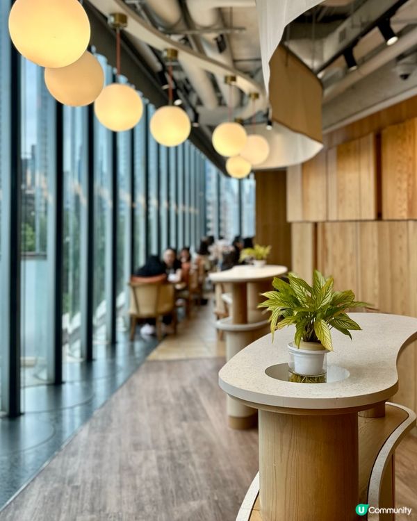 K11 Musea 木系Cafe✨