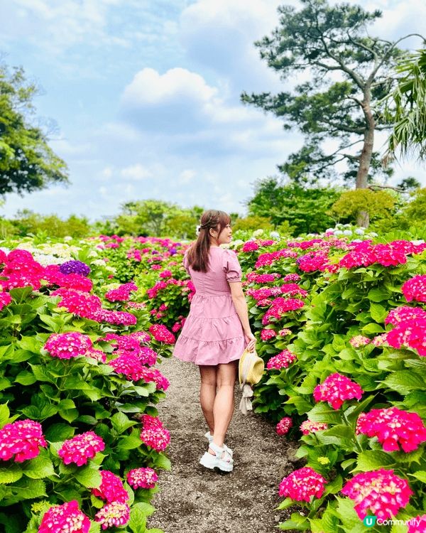 Hyunaewon就位於Easterly Garden Ca...